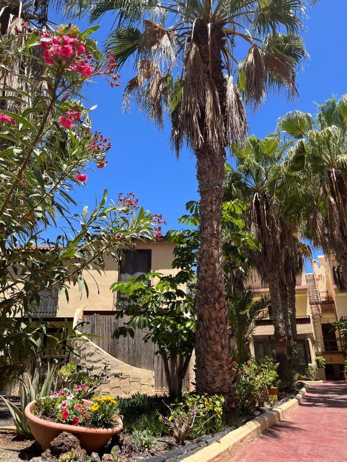 Surf And Chill Bungalow 70 Διαμέρισμα Parque Holandes Εξωτερικό φωτογραφία