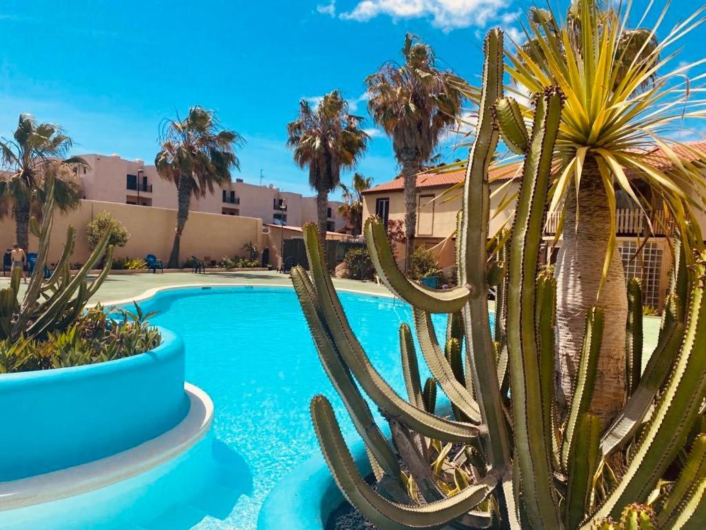 Surf And Chill Bungalow 70 Διαμέρισμα Parque Holandes Εξωτερικό φωτογραφία