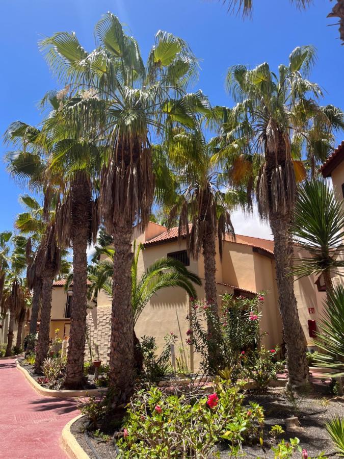 Surf And Chill Bungalow 70 Διαμέρισμα Parque Holandes Εξωτερικό φωτογραφία