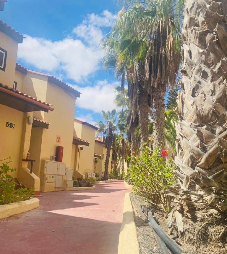 Surf And Chill Bungalow 70 Διαμέρισμα Parque Holandes Εξωτερικό φωτογραφία